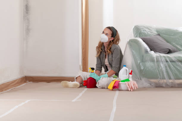 Reliable Mold Testing contractor in Mapleton Depot, PA by WQB Mold Removal